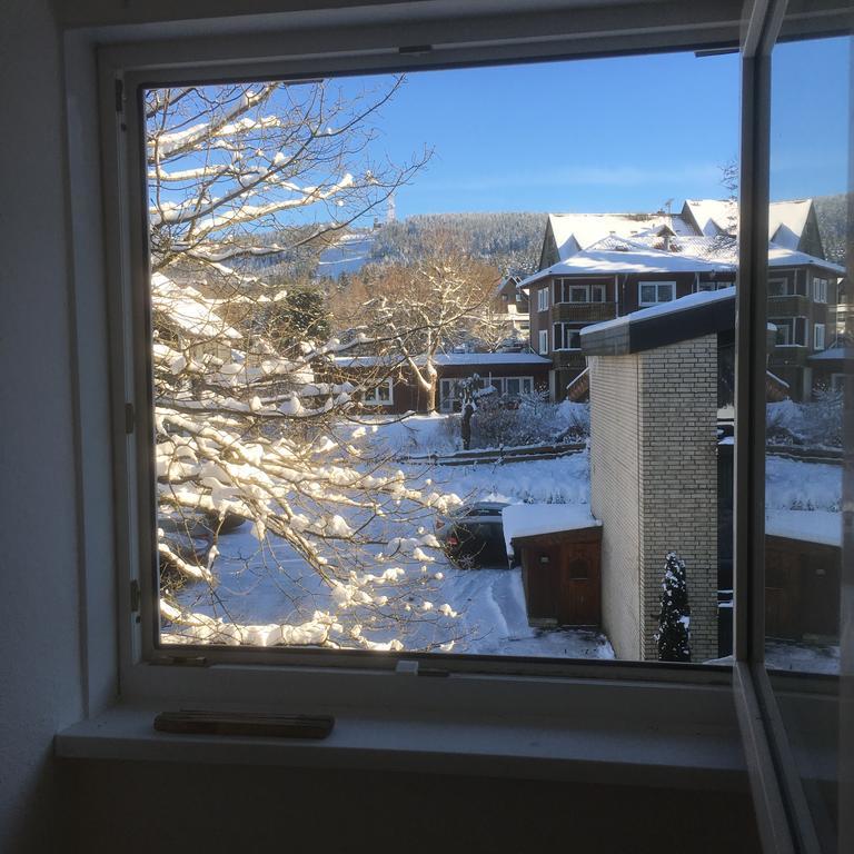 Fewo Andresen Hahnenklee กอสลาร์ ภายนอก รูปภาพ